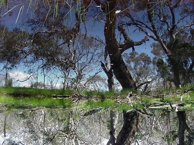 [Upside-down 1]
